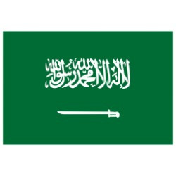 Saudi Arabia RDP - Cloud RDP - Jeddah ( Saudi Arabia )